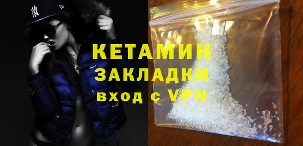 шишки Новозыбков