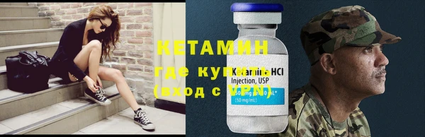 шишки Новозыбков