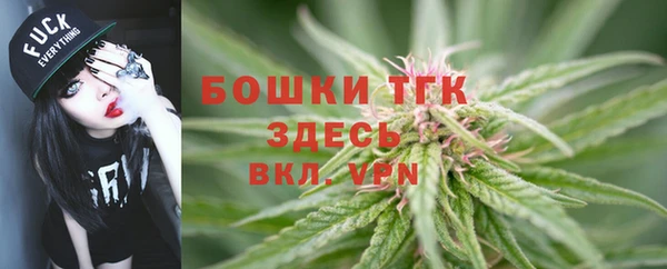 шишки Новозыбков