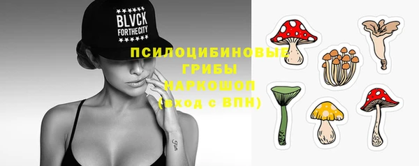 шишки Новозыбков