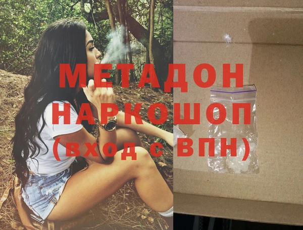 шишки Новозыбков