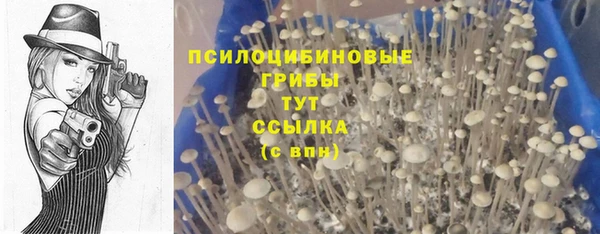 марки nbome Новодвинск