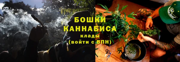 шишки Новозыбков